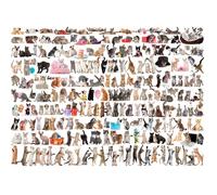 Puzzle Eurographics 1000 pièces - World of Cats - Animaux - Adulte - 12 ans