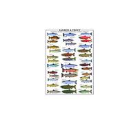 Puzzle Eurographics - Der Lachs Et Die Forelle, 1000 Pièces