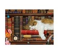 Puzzle Eurographics - La sieste du chat, 500 pièces XXL multicolore G