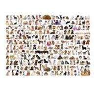 Puzzle Eurographics - Le monde des chiens, 1000 pièces multicolore G