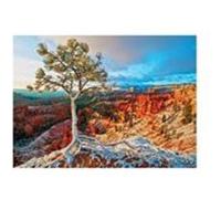 EuroGraphics Winter Sunrise Jigsaw Puzzle (1000-Piece)