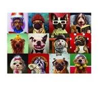 Puzzle Eurographics - Lucia Heffernan : Chiens drôles, 1000 pièces multicolore G