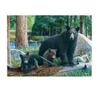 Puzzle decouvertes nouvelles 1000 pieces - Eurographics multicolore G