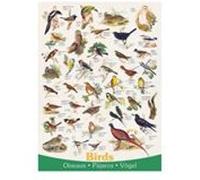 Puzzle Eurographics - Oiseaux, 1000 pièces multicolore G