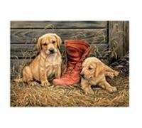 Puzzle Eurographics - Romarin Millette : Quelque chose de vieux, quelque chose de nouveau, 1000 pièces multicolore G