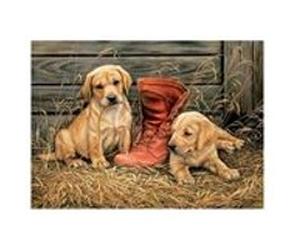 Puzzle Eurographics - Romarin Millette : Quelque chose de vieux, quelque chose de nouveau, 1000 pièces multicolore G