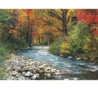 Puzzle Eurographics Ruisseau Dans La Forêt De 1000 Pièces
