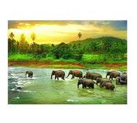 Puzzle Eurographics - Sauvez la planète ! Le règne animal, 1000 pièces multicolore G