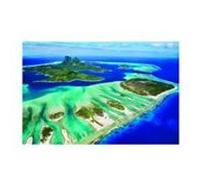 Puzzle Eurographics - Sauvez la planète ! Océan, 1000 pièces multicolore G