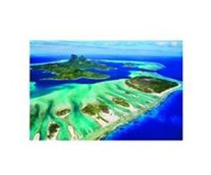 Puzzle Eurographics - Sauvez la planète ! Océan, 1000 pièces multicolore G
