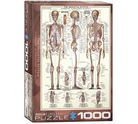 Eurographics Puzzle de Squelette 1 000 pièces