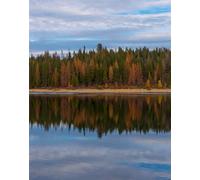 Puzzle Familial de 1000 pièces pour Adultes - Arbres, forêts, Rivage 26 x 38 cm