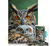 Puzzle Familial de hiboux de 1000 pièces pour Adolescents, Jeu Intelligent à Partager en Famille, Motif à Assembler, Cadeau du Père Noël (38x52cm)