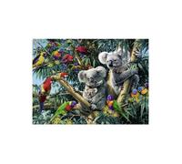 Puzzle Famille De Koalas Et Perroquets Dans L Arbre 500 Pieces - Ravensburger - Puzzle Animaux De La Foret
