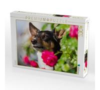Puzzle · Fille d'honneur | Portrait d'un Jack Russell dans des pétales de rose · 1000 pièces · Format assemblé 64 × 48 cm · CALVENDO Puzzle