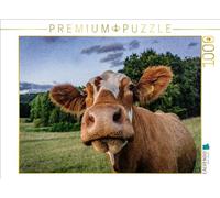 CALVENDO Puzzle de bétail tacheté | 1000 pièces de Taille de Ponte 64 x 48 cm Puzzle Photo Puzzle pour des Heures heureuses