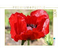 Puzzle · Fleur de Pavot au Soleil | Une merveille florale rouge · 1000 pièces · Format assemblé 64 × 48 cm · CALVENDO Puzzle