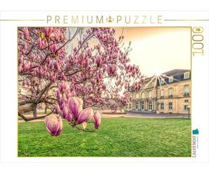Puzzle · Floraison de Magnolias sur la Place du château de Stuttgart | Un magnolia en fleurs sur la place du château de Stuttgart au… · 1000 pièces · Format assemblé 64 × 48 cm · CALVENDO Puzzle