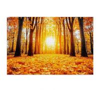 Puzzle Forêt 2000 Pieces Adultes, Puzzle 2000 Pieces Automne, Puzzles Bois de Qualité Supérieure avec Une Boîte d'emballage Exquise, Jeu de Concentration pour Adultes, Cadeau Femme, Cadeau Homme Q-1