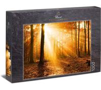 Puzzle Forêt D'automne Dorée: Puzzle 1000 Pièces - Automne Pittoresque Avec Lumière Du Soleil Entre Les Arbres Dans Une Forêt D'automne Colorée