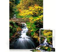 Puzzle Forêt d'automne Oirase 1000 Pièces pour Adultes Jeu Cognitif et de Partage Motif à Assembler Cadeau de Noël (50x75cm)