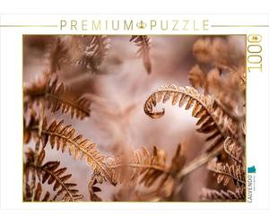 Puzzle · Fougère mâle (Dryopteris filix-mas | 1000 pièces · Format assemblé 64 × 48 cm · CALVENDO Puzzle