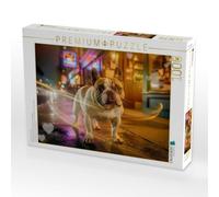 Puzzle · Frenchie Kuschelwind, weich, Warm, wunderbar | Gassi gehen ist genau mein Ding · 1000 pièces · Format assemblé 64 × 48 cm · CALVENDO Puzzle