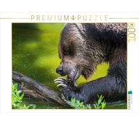 Puzzle · frénésie Alimentaire | Grizzly dans le fjord de Glendale Cove, Kanada · 1000 pièces · Format assemblé 64 × 48 cm · CALVENDO Puzzle