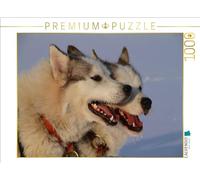 Puzzle · frères | Les huskies dans l'équipe · 1000 pièces · Format assemblé 64 × 48 cm · CALVENDO Puzzle