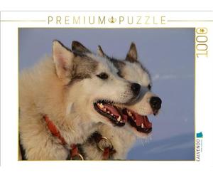 Puzzle · frères | Les huskies dans l'équipe · 1000 pièces · Format assemblé 64 × 48 cm · CALVENDO Puzzle