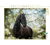 Puzzle · Frise | 1000 pièces · Format assemblé 64 × 48 cm · CALVENDO Puzzle