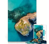 Puzzle géant endormi 1000 pièces pour Adolescents, Jouet Stimulant la logique et apaisant, œuvre d'art de qualité supérieure à Collectionner 38x26cm