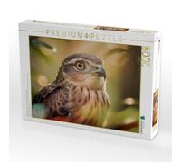 Puzzle · Gefiederpoesie, Wenn Farben zu Geschichten Werden | Besondere Vogelportraits · 2000 pièces · Format assemblé 90 × 67 cm · CALVENDO Puzzle