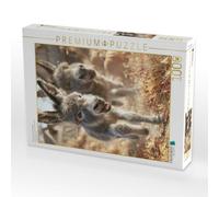 Puzzle · Gemeinsam macht's Spaß | 1000 pièces · Format assemblé 64 × 48 cm · CALVENDO Puzzle