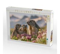 Puzzle · Gipfelglück mit Aussicht | 1000 pièces · Format assemblé 64 × 48 cm · CALVENDO Puzzle