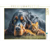 Puzzle · Gordon Setter | Beau chien avec chaton · 1000 pièces · Format assemblé 64 × 48 cm · CALVENDO Puzzle