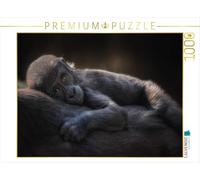 Puzzle · Gorille | 1000 pièces · Format assemblé 64 × 48 cm · CALVENDO Puzzle
