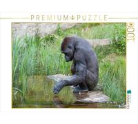 Puzzle · Gorille | 1000 pièces · Format assemblé 64 × 48 cm · CALVENDO Puzzle