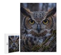 Puzzle Great Horned Owl Close-up, 500 PCS, Activité Créative À La Maison, comme Cadeau du Nouvel an pour Adultes Passionnés, À Offrir