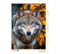 Puzzle · Great Plains Wolf avec Un Regard Intense dans la forêt d'automne | Le loup des grandes plaines de l'ouest des États-Unis… · 1000 pièces · Format assemblé 64 × 48 cm · CALVENDO Puzzle