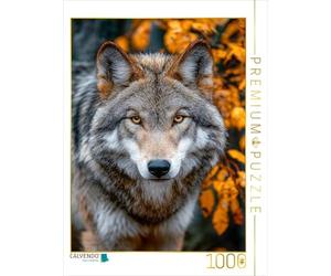 Puzzle · Great Plains Wolf avec Un Regard Intense dans la forêt d'automne | Le loup des grandes plaines de l'ouest des États-Unis… · 1000 pièces · Format assemblé 64 × 48 cm · CALVENDO Puzzle