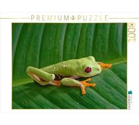 Puzzle · Grenouille à Yeux Rouges | 1000 pièces · Format assemblé 64 × 48 cm · CALVENDO Puzzle