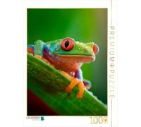 Puzzle · Grenouille à Yeux Rouges - Les Couleurs de la Nature Sauvage | Un véritable coup de cœur tropical · 1000 pièces · Format assemblé 64 × 48 cm · CALVENDO Puzzle