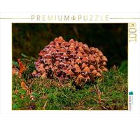 Puzzle · Groupe de Champignons | 1000 pièces · Format assemblé 64 × 48 cm · CALVENDO Puzzle