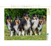 Puzzle · Groupe des Shelties | 1000 pièces · Format assemblé 64 × 48 cm · CALVENDO Puzzle