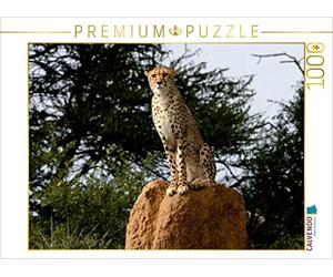 Puzzle · Guépards - Poste d'observation | 1000 pièces · Format assemblé 64 × 48 cm · CALVENDO Puzzle