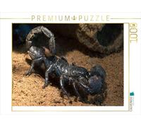 Puzzle · Guerrier redoutable | Superbe photo macro d'un scorpion empereur · 1000 pièces · Format assemblé 64 × 48 cm · CALVENDO Puzzle