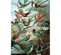 Puzzle - haeckel - colibris