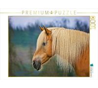 Puzzle · Haflinger à la Magnifique crinière Blonde | Cheval Haflinger · 1000 pièces · Format assemblé 64 × 48 cm · CALVENDO Puzzle