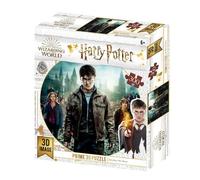 Puzzle Harry Potter - Harry Ron et Hermione au combat - 300 pcs 61x46 cm